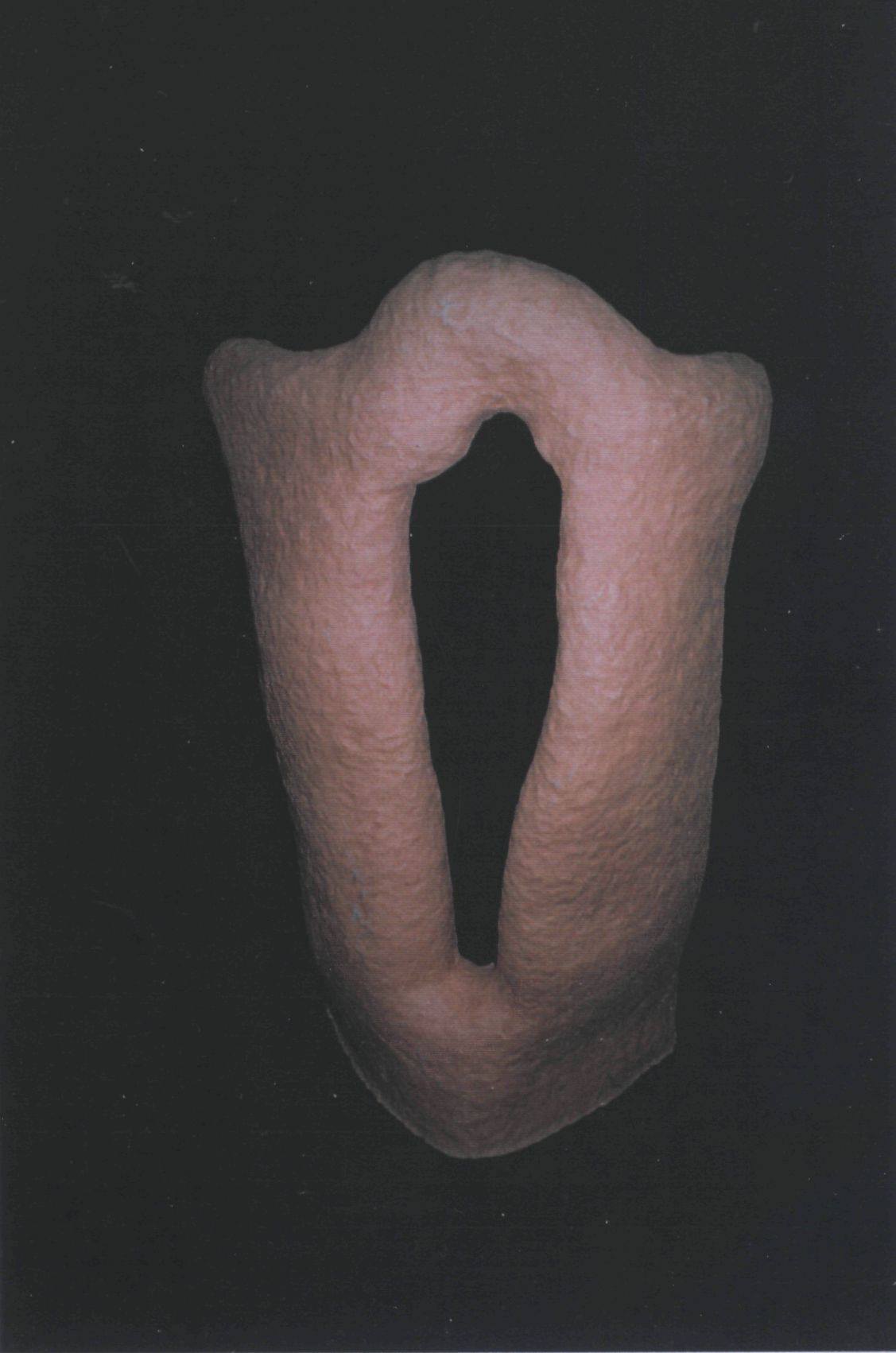 Image 49